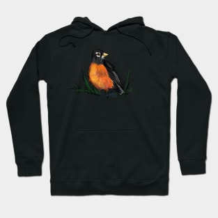 American Robin Hoodie